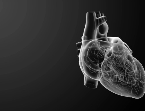 Strong chest and back muscles linked to lower risk of a heart attack
